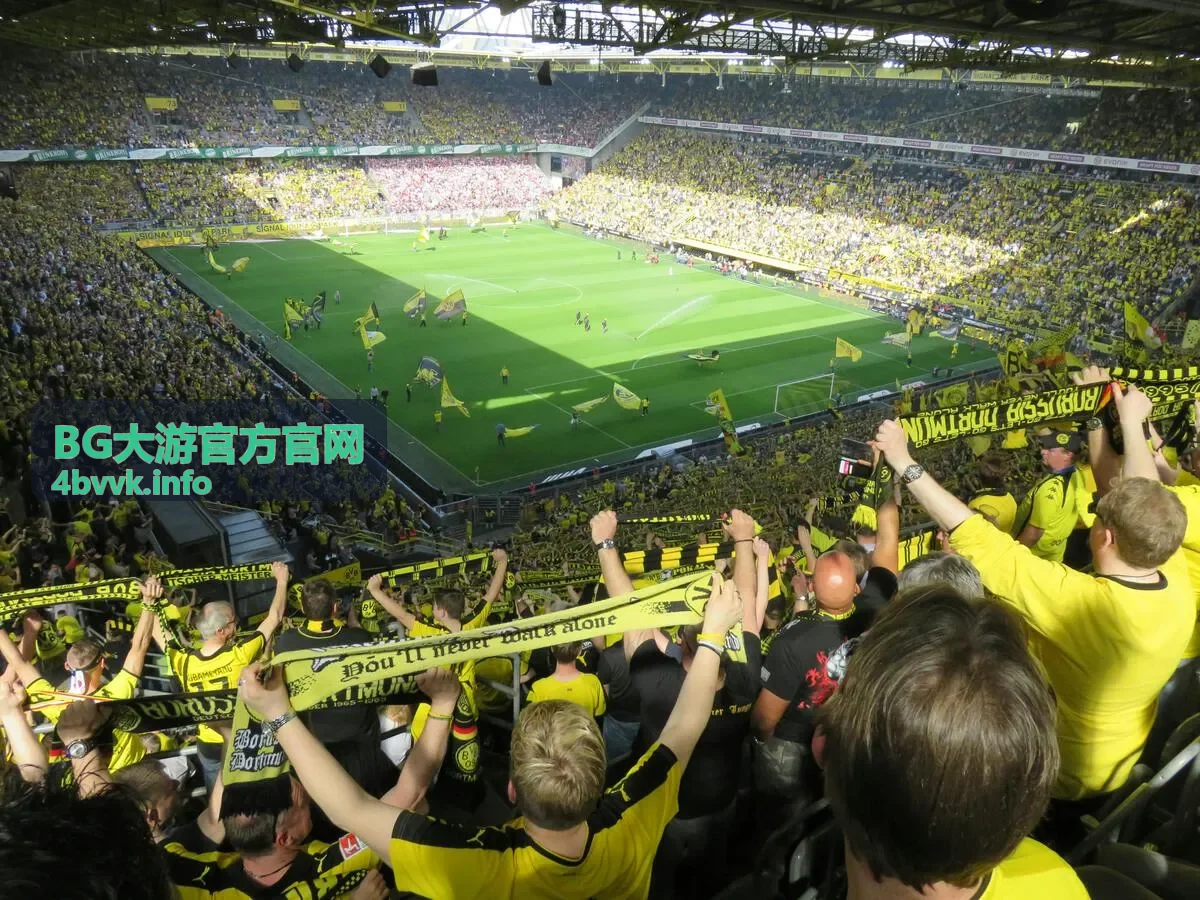 BG大游官方官网休闲娱乐服务体系
